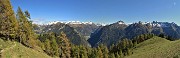 37  Sul sent. 117 dal Forcolino al Monte Colle larici in look autunnale